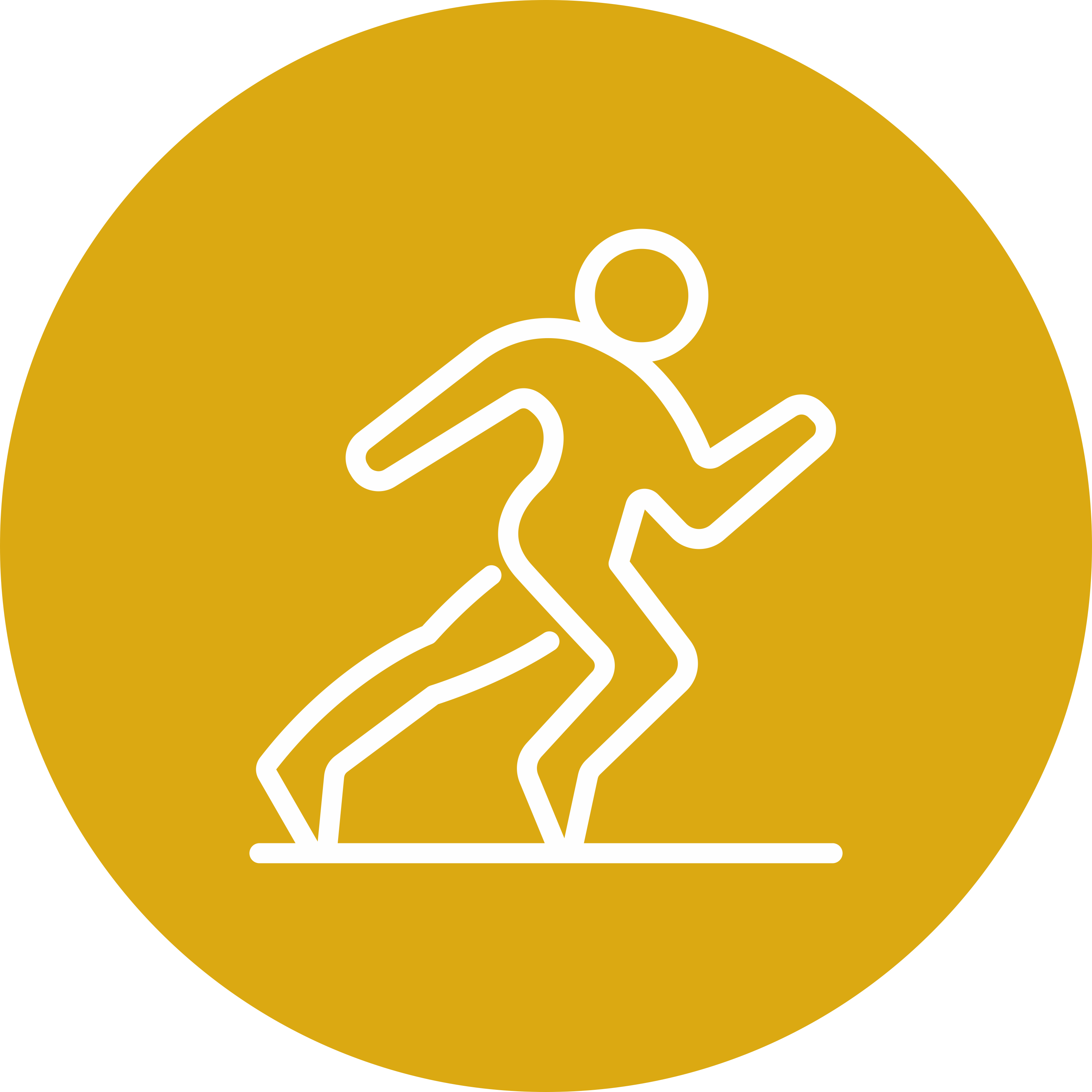 Personal Physical Trainer or Activity Coaches