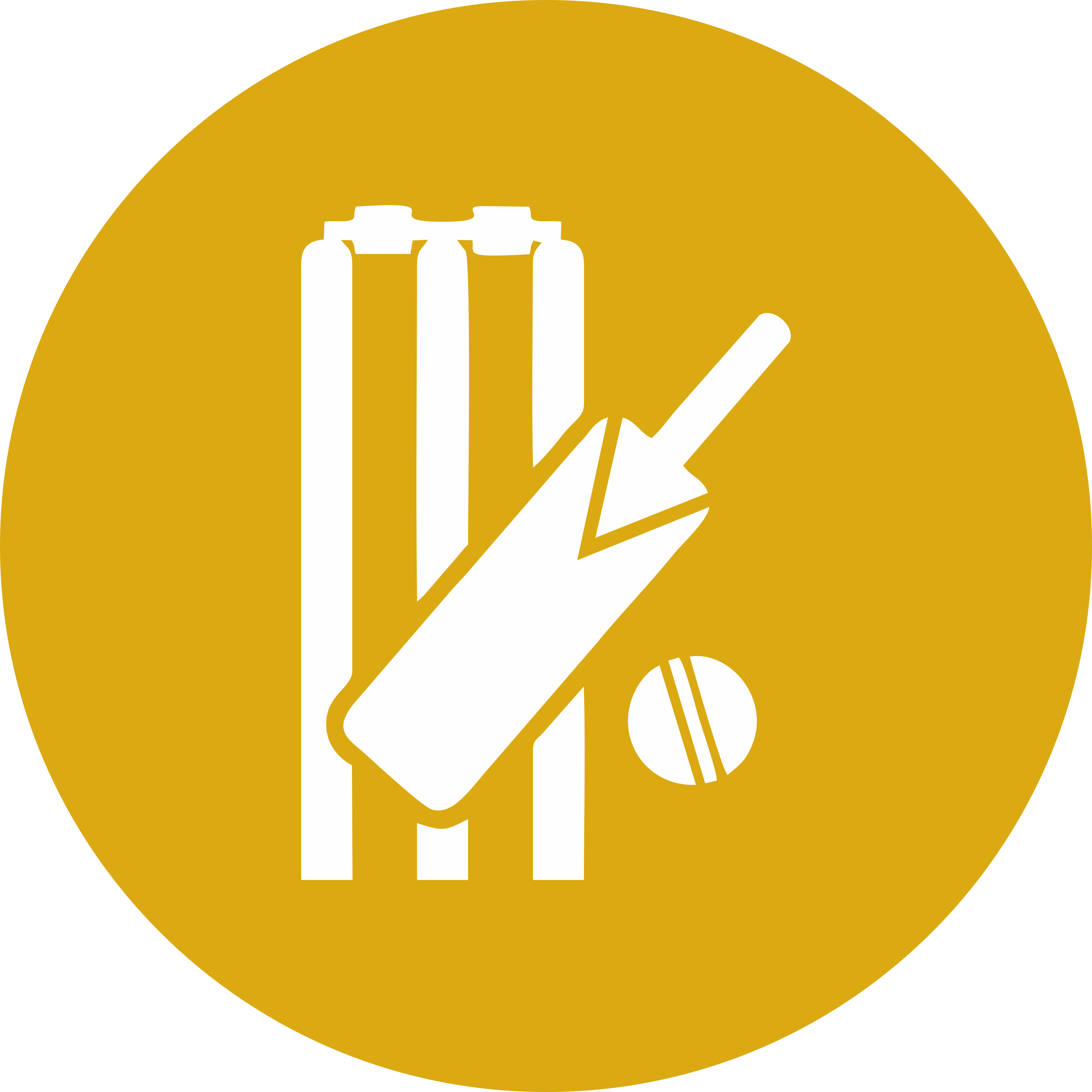 Cricket Practice Pitch